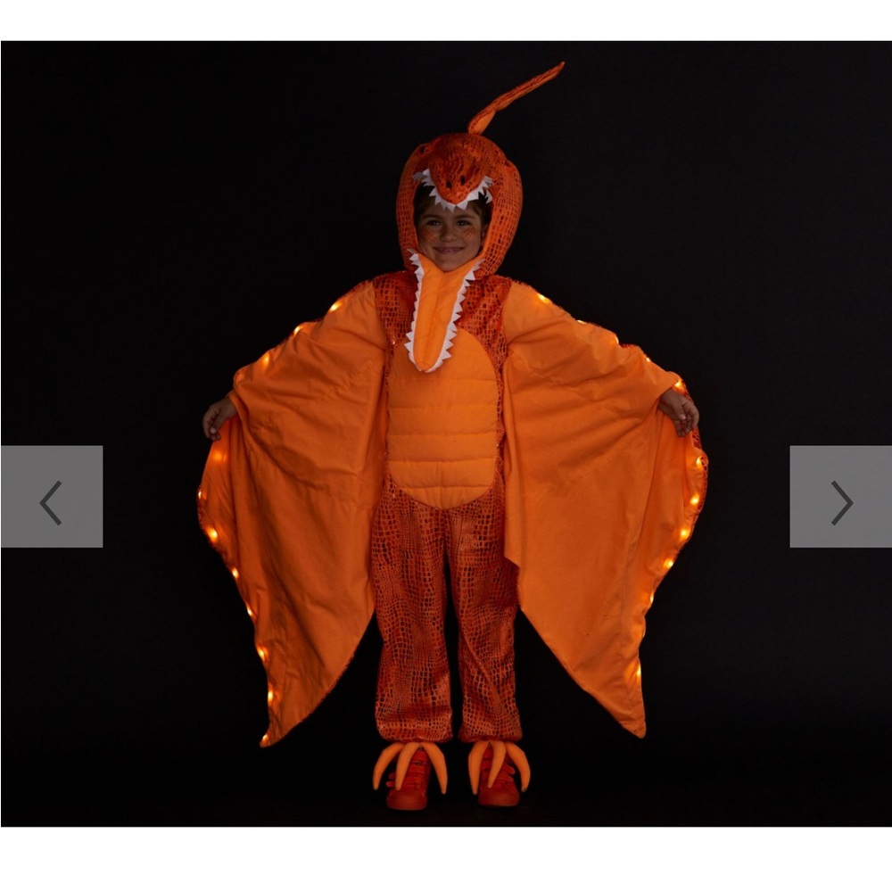 Light up pterodactyl costume size 7/8